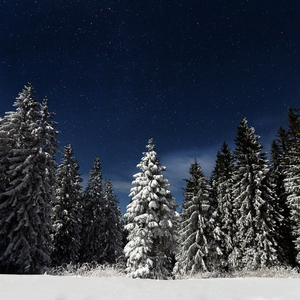 红桃影院成人网站m3u8
